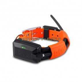 GPS DOGTRACE X25